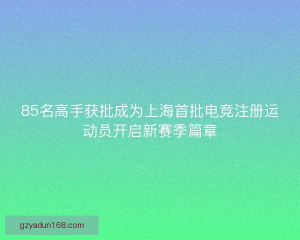 85名高手获批成为上海首批电竞注册运动员开启新赛季篇章
